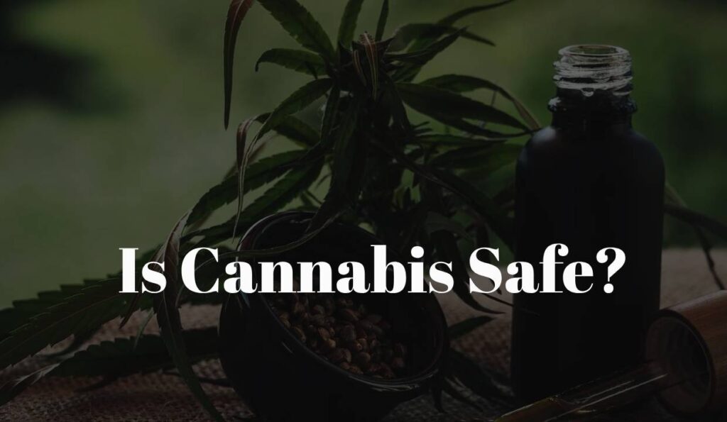 is cannabis safe