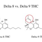 Delta-8 THC and Delta-9 THC
