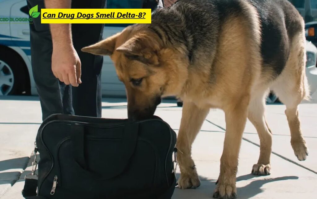 Can Police Dogs Smell Delta-8 Products?