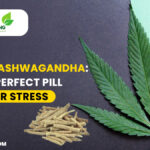 CBD And Ashwagandha: The Perfect Pill For Stress