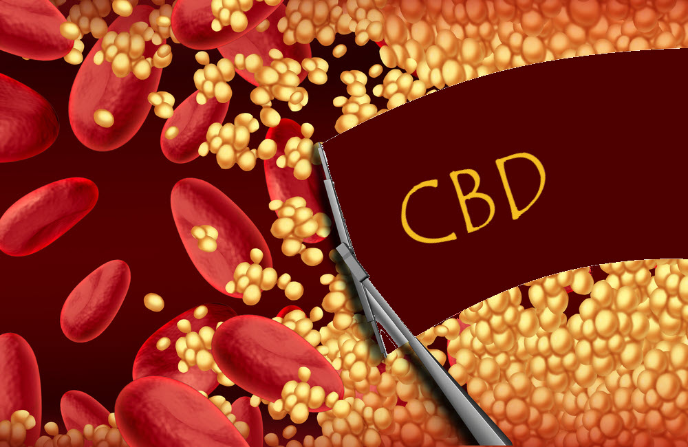 CBD Thin Your Blood image 3